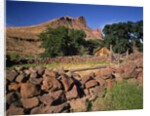 Stone corral fence and barn by Anonymous