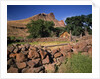 Stone corral fence and barn by Anonymous
