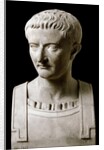 Bust of Tiberius (Tiberio Claudio Nerone) by Anonymous