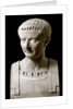 Bust of Tiberius (Tiberio Claudio Nerone) by Anonymous