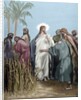 The apostles gathered ears in the day of rest. Engraving. Colored. by Anonymous