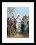The apostles gathered ears in the day of rest. Engraving. Colored. by Anonymous