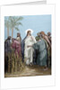 The apostles gathered ears in the day of rest. Engraving. Colored. by Anonymous