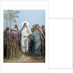 The apostles gathered ears in the day of rest. Engraving. Colored. by Anonymous