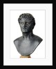 Bronze bust of Seleucus I Nicator by Anonymous