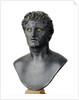 Bronze bust of Seleucus I Nicator by Anonymous