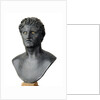 Bronze bust of Seleucus I Nicator by Anonymous