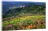 Buckhorn Viewpoint & Imnaha River Valley by Anonymous