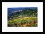 Buckhorn Viewpoint & Imnaha River Valley by Anonymous