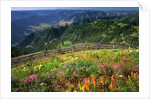 Buckhorn Viewpoint & Imnaha River Valley by Anonymous