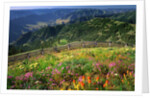 Buckhorn Viewpoint & Imnaha River Valley by Anonymous