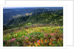 Buckhorn Viewpoint & Imnaha River Valley by Anonymous