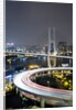Nanpu Bridge, Shanghai, China by Anonymous