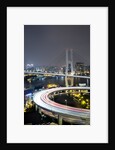 Nanpu Bridge, Shanghai, China by Anonymous