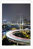 Nanpu Bridge, Shanghai, China by Anonymous