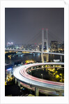 Nanpu Bridge, Shanghai, China by Anonymous