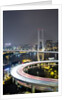 Nanpu Bridge, Shanghai, China by Anonymous
