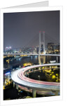 Nanpu Bridge, Shanghai, China by Anonymous
