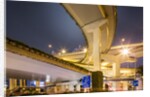 Highway Overpass, Shanghai, China by Anonymous