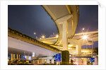 Highway Overpass, Shanghai, China by Anonymous