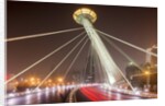 Ligonglou Bridge, Tianjin, China by Anonymous