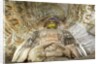 Buddha Caves, Datong, Shanxi Province, China by Anonymous