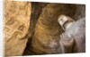 Buddha Caves, Datong, Shanxi Province, China by Anonymous