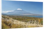 Lake Yamanaka & Mt. Fuji by Anonymous