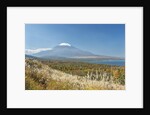Lake Yamanaka & Mt. Fuji by Anonymous