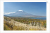 Lake Yamanaka & Mt. Fuji by Anonymous