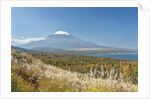 Lake Yamanaka & Mt. Fuji by Anonymous