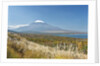 Lake Yamanaka & Mt. Fuji by Anonymous