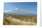 Lake Yamanaka & Mt. Fuji by Anonymous