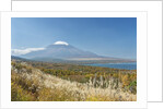 Lake Yamanaka & Mt. Fuji by Anonymous