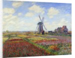 Tulip Fields in Holland by Claude Monet