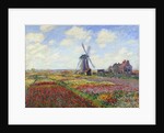 Tulip Fields in Holland by Claude Monet