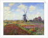 Tulip Fields in Holland by Claude Monet