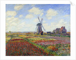 Tulip Fields in Holland by Claude Monet