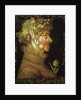 Summer by Giuseppe Arcimboldo