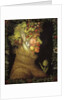 Summer by Giuseppe Arcimboldo