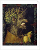 Winter by Giuseppe Arcimboldo