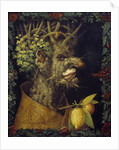 Winter by Giuseppe Arcimboldo