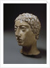 Etruscan head of a youth, known as head of Malavolta by Anonymous