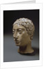 Etruscan head of a youth, known as head of Malavolta by Anonymous