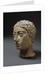 Etruscan head of a youth, known as head of Malavolta by Anonymous