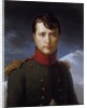 Portrait of Napoleon Bonaparte as First Consul by Francois Gerard