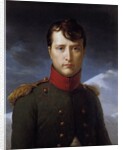 Portrait of Napoleon Bonaparte as First Consul by Francois Gerard