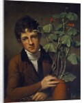 Rubens Peale With a Geranium by Rembrandt Peale