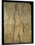 Mesopotamian relief of blessing winged genius by Anonymous