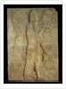 Mesopotamian relief of blessing winged genius by Anonymous